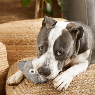 BARK Super Chewer Hare Raiser