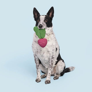 BARK Super Chewer Turnt Up Turnip