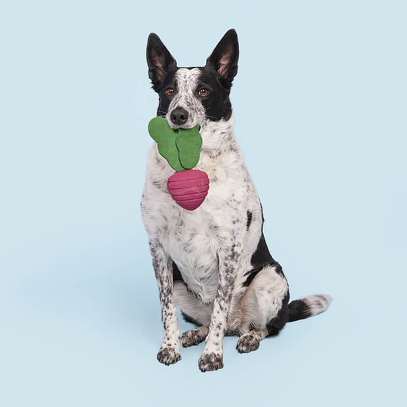 BARK Super Chewer Turnt Up Turnip
