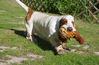Fluff & Tuff Tiger Ball
