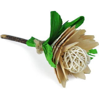 Prevue Pet Applewood Rose Chew