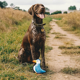 Beco Rough & Tough Recycled Toy Puffin