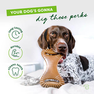 Benebone Bacon Dental Chew