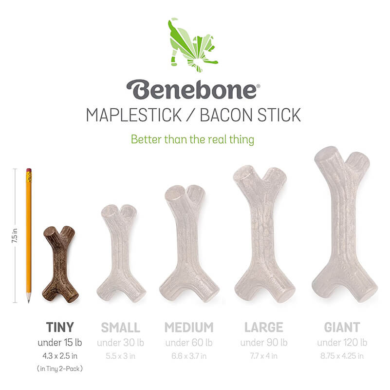 Benebone Bacon Zaggler Puppy 2 Pack