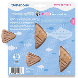 Benebone Fishbone Puppy 2-Pack