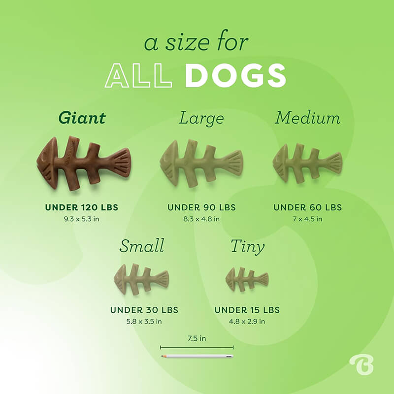 Benebone Fishbone Tiny 2-Pack