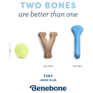 Benebone Puppy 2-Pack Wishbone and Rubber Bone
