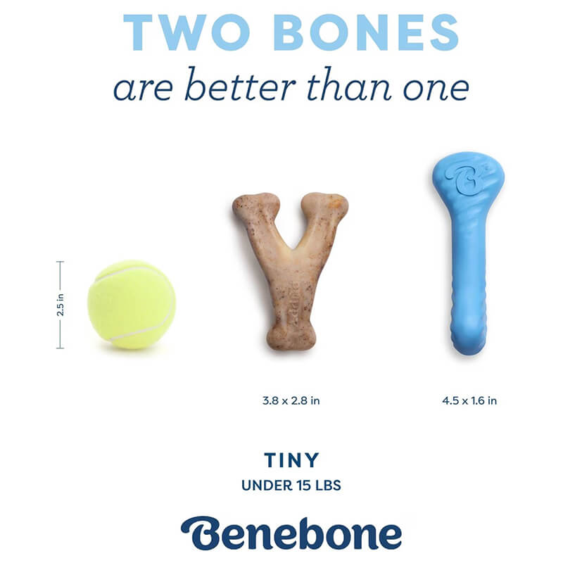 Benebone Puppy 2-Pack Wishbone and Rubber Bone