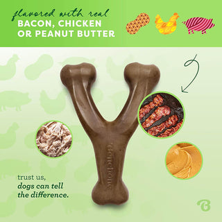 Benebone Wishbone Peanut Butter Chew