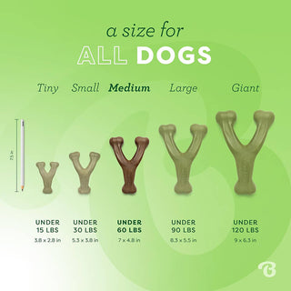 Benebone Wishbone Peanut Butter Chew