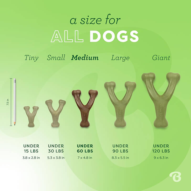 Benebone Wishbone Peanut Butter Chew