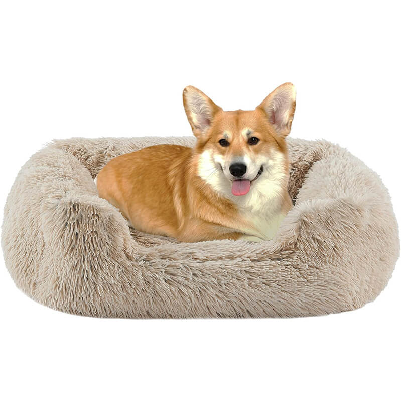 Best Friends by Sheri Soothe & Snooze Rectangular Lounge Bed