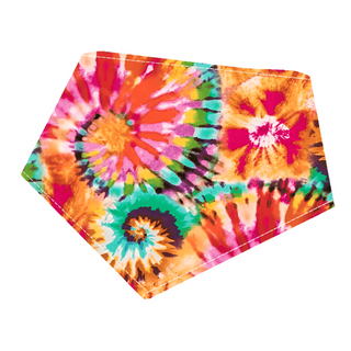 Bibby Bubby Bandana - Rainbow Tie Dye
