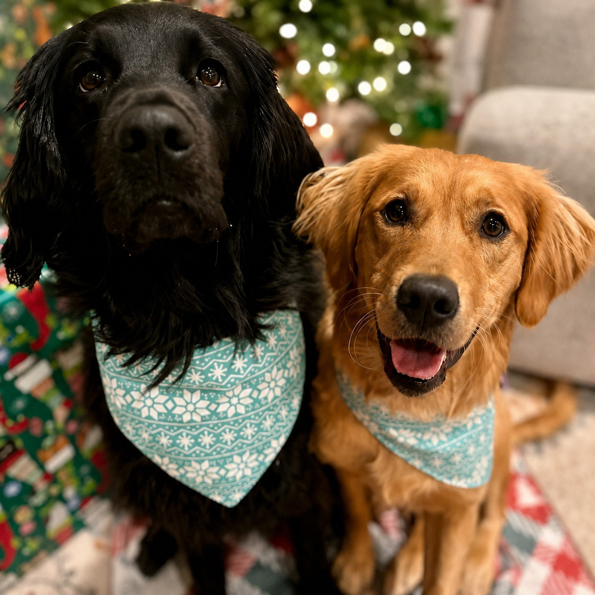 Bibby Bubby Bandana - Mint Fair Isle