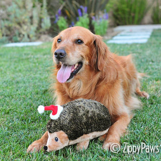 Zippy Paws Holiday Hedgehog