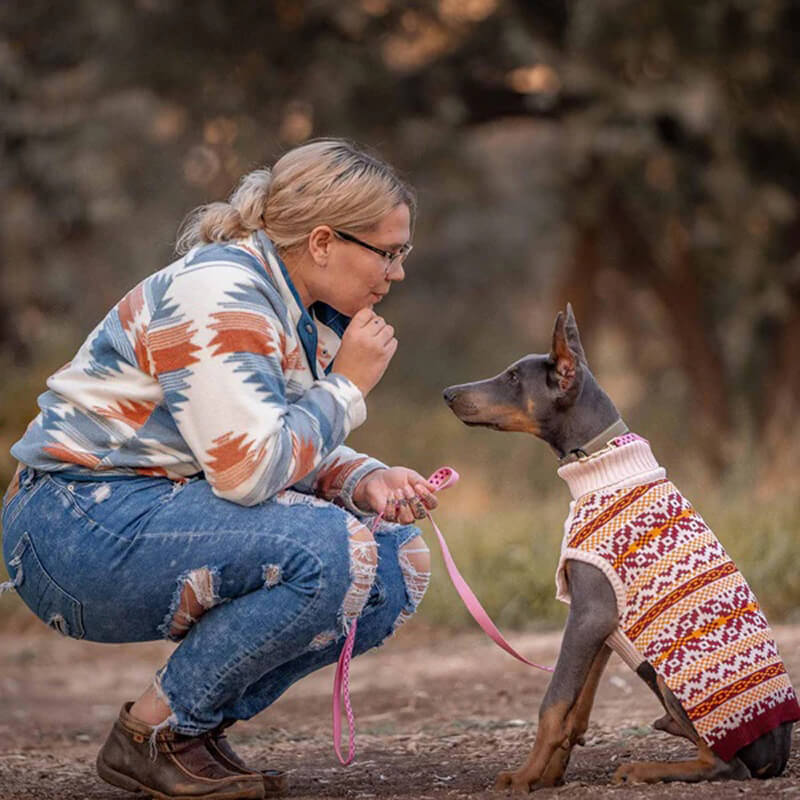 Blueberry Pet Fair Isle Dog Sweater Pink
