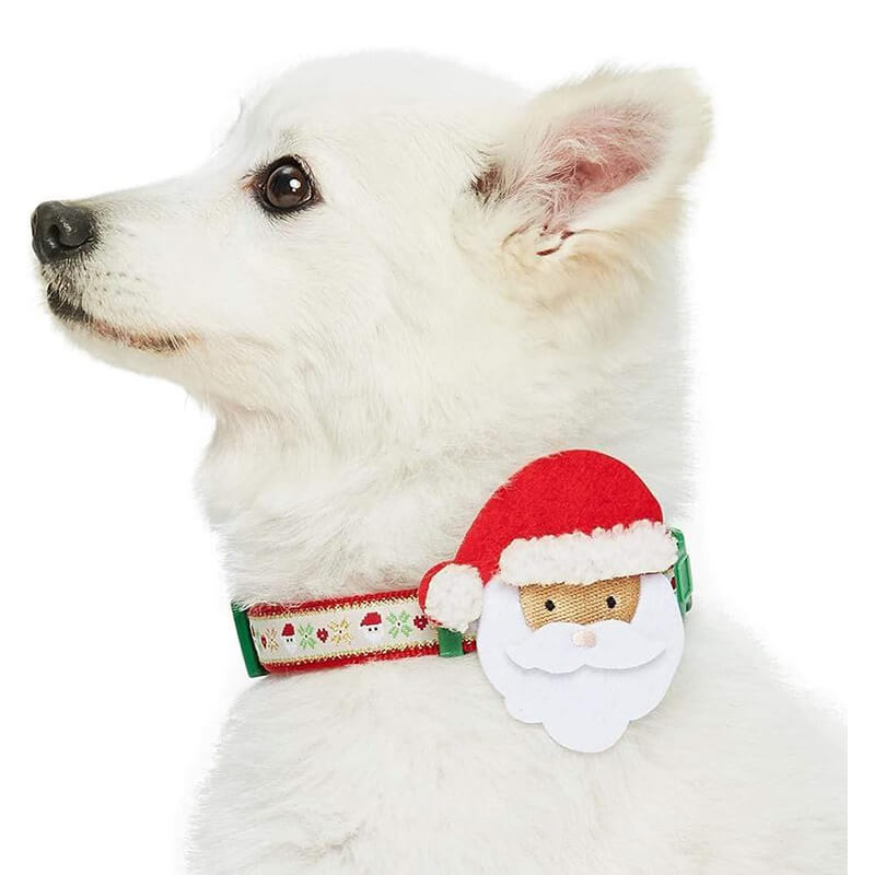 Blueberry Pet Holiday Santa Collar with Santa Decor