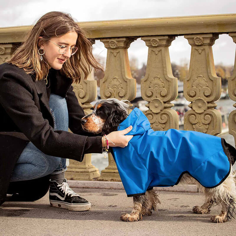 Blueberry Pet Hooded Softshell 5000mm Waterproof Jacket
