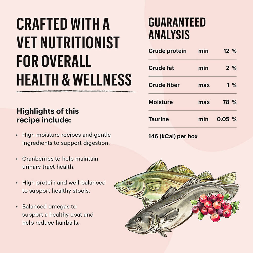 Honest Kitchen CÂTÉ Grain-Free Salmon & Cod Pate