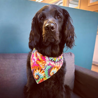 Bibby Bubby Bandana - Rainbow Tie Dye