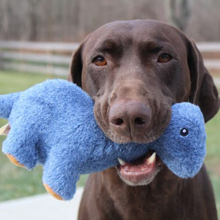 Territory Plush Brontesaurus