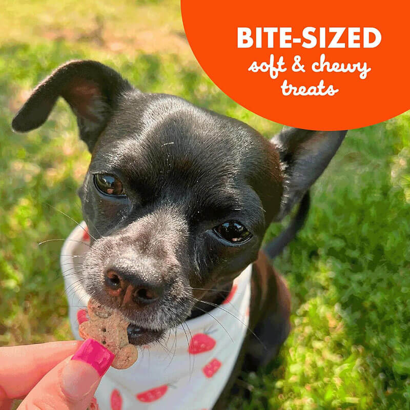 Buddy Biscuits Peanut Butter Soft & Chewy Minis