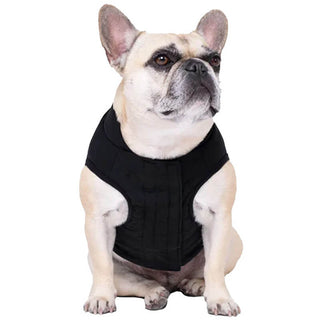Canada Pooch Ultimate Stretch Vest Black 10