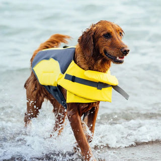 Canada Pooch Wave Rider Life Vest