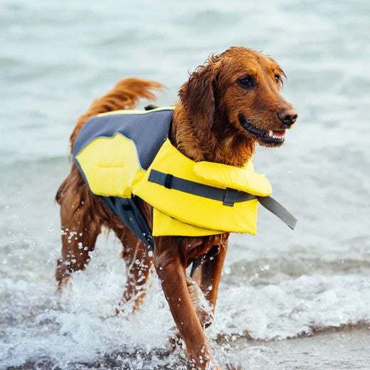 Canada Pooch Wave Rider Life Vest