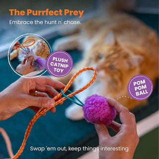 Catstages Cat-apult Spring Teaser Wand