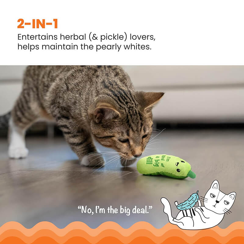 Catstages Crunchy Pickle Kicker