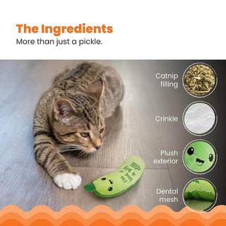 Catstages Crunchy Pickle Kicker