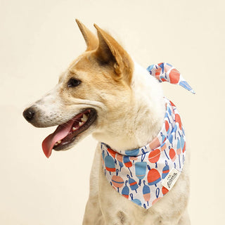 The Paws Bandana - Buoy