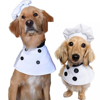 Chef Uniform Costume for Pets