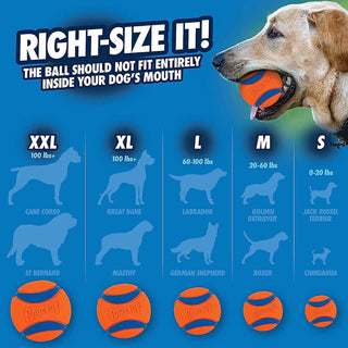 Chuckit! Ultra Ball Duo Tug