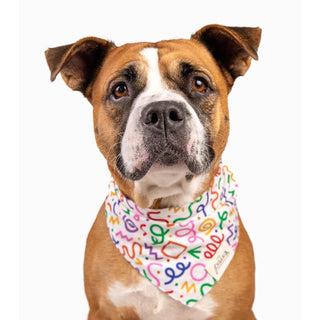 The Paws Bandana - Fun