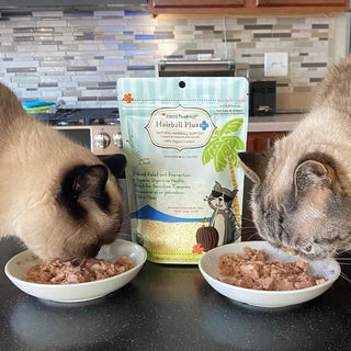 CocoTherapy Organic Hairball Plus for Cats and Kittens