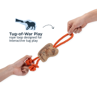 Tall Tails Leather Chipmunk Tug