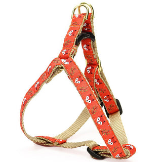 Up Country Harness Foxy
