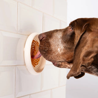 Awoo Lick Dish