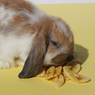 Sweet Meadow Farm Banana Chips 5.57 oz