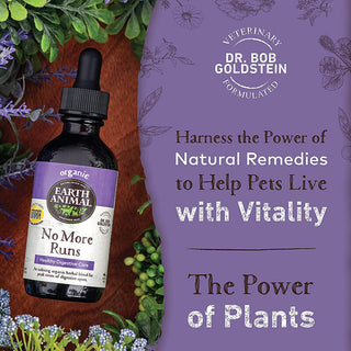 Earth Animal No More Runs Herbal Remedy