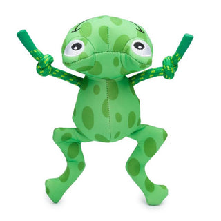 Fabdog Floaties Frog