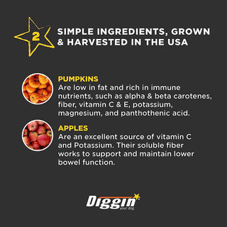 Diggin Your Dog Firm Up! Pumpkin Bars