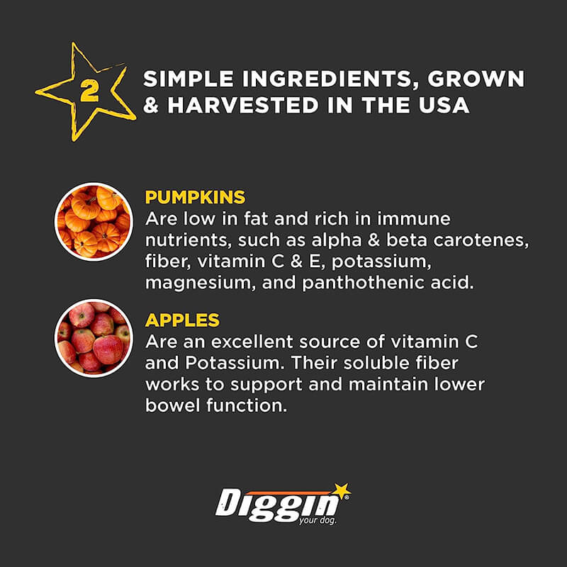 Diggin Your Dog Firm Up! Pumpkin Bars