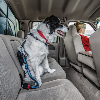 Kurgo Bungee Seat Belt Tether