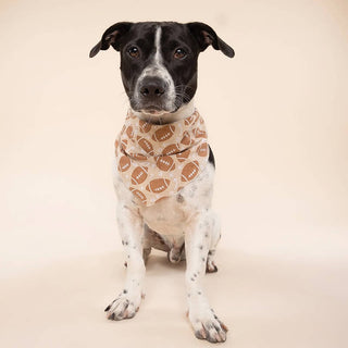 The Paws Bandana - Blitz Football