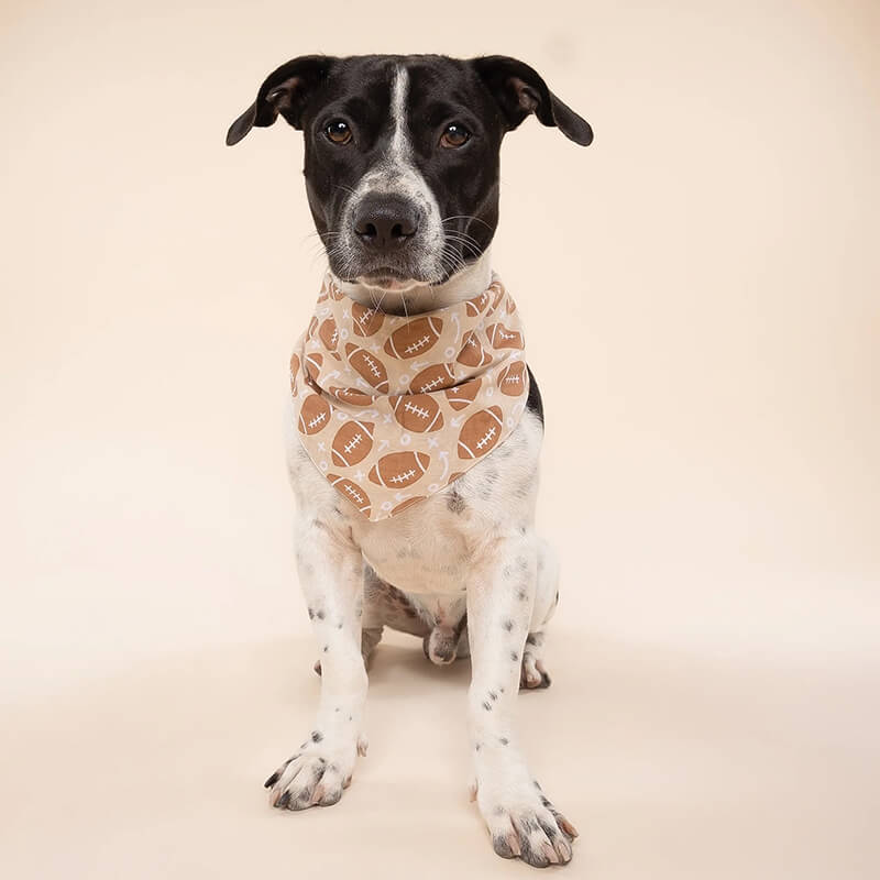 The Paws Bandana - Blitz Football