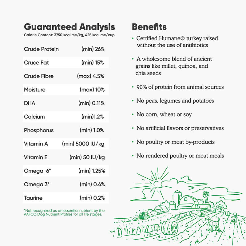 Open Farm Harvest Turkey & Ancient Grains