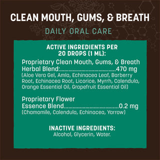 Earth Animal Clean Mouth, Gums & Breath Herbal Dental Supplement